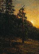 Albert Bierstadt California Redwoods USA oil painting artist